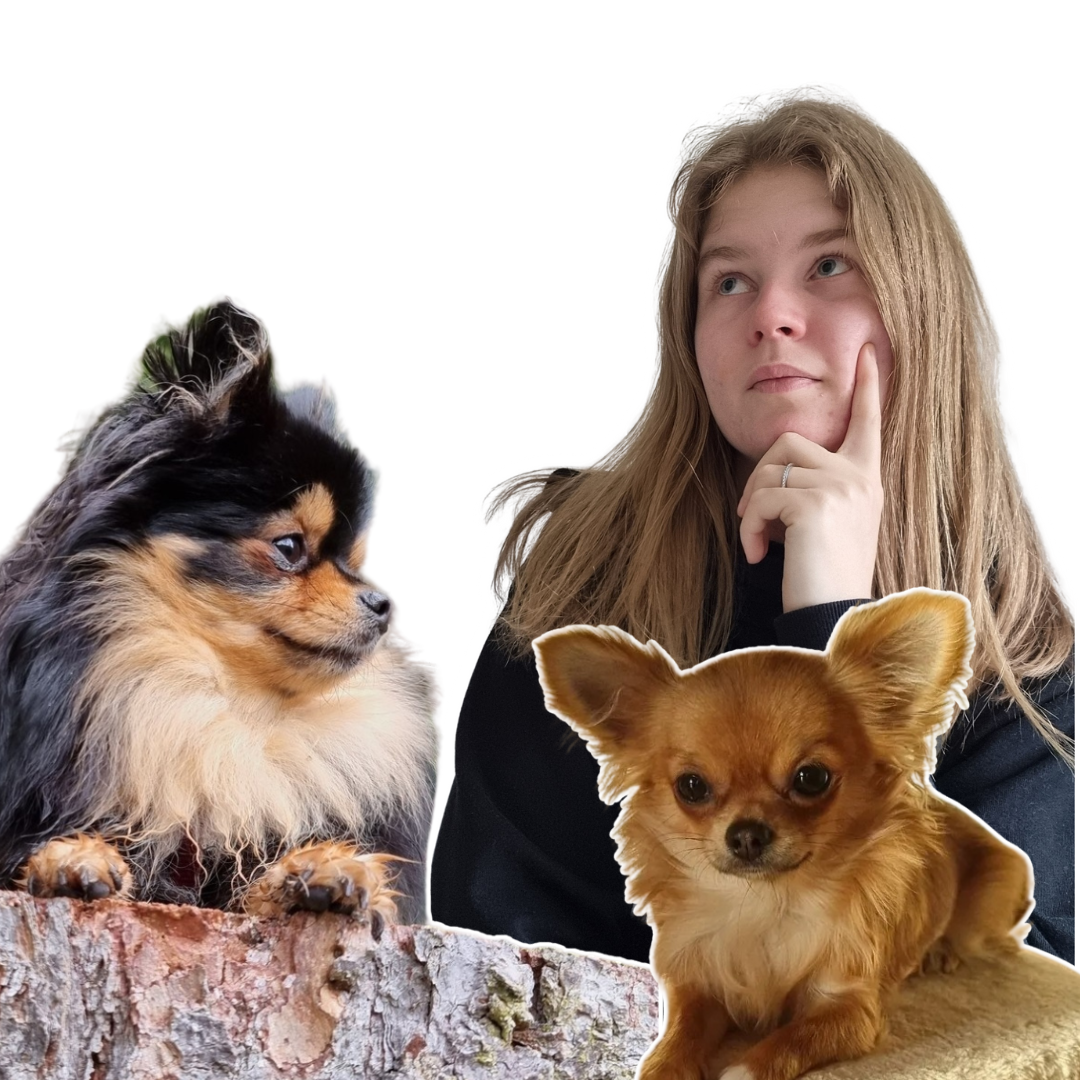 Kleine Hunde. Große Haltung. Warum Pfotig für ehrliche Hundehaltung steht