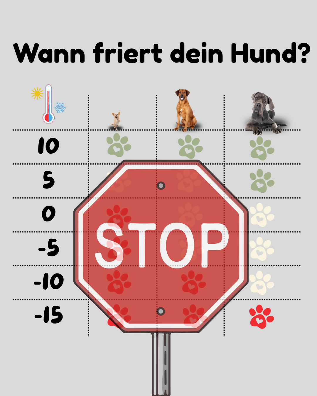 Was die Tabelle für Hunde dir nicht sagt