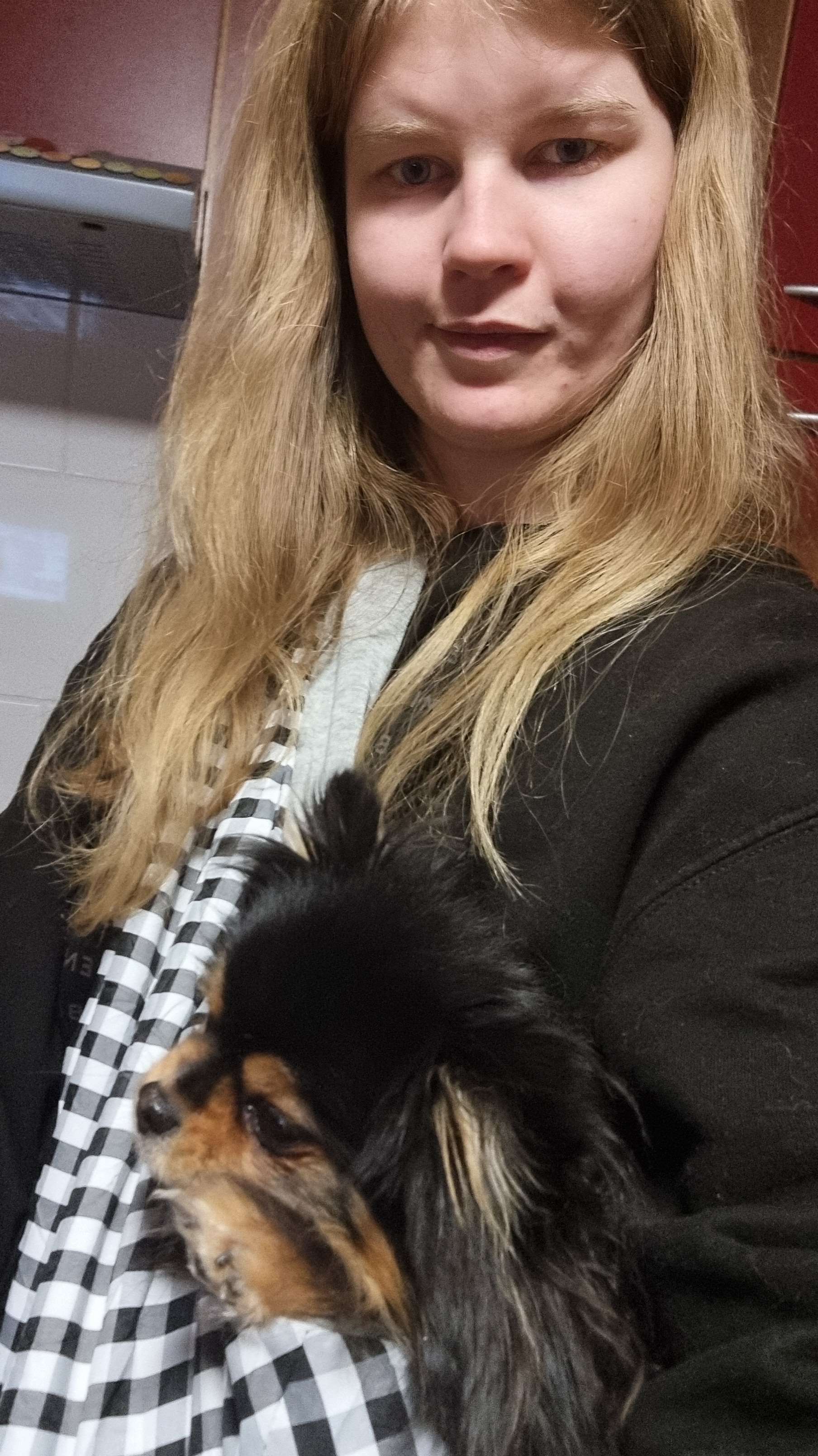 Mein Weg vom Hundehalter zur Hundetrainerin – warum ich diesen Weg gehe